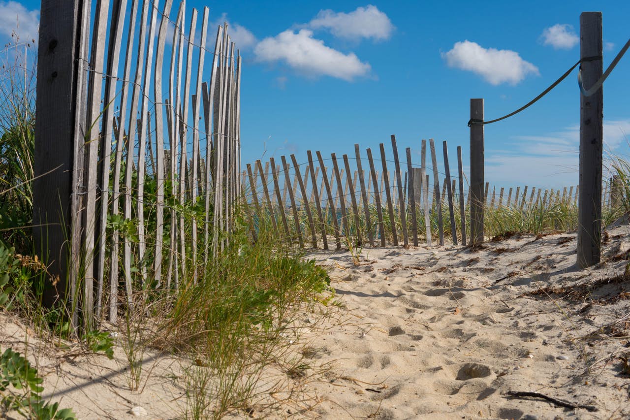 Beach on Martha's Vineyard
