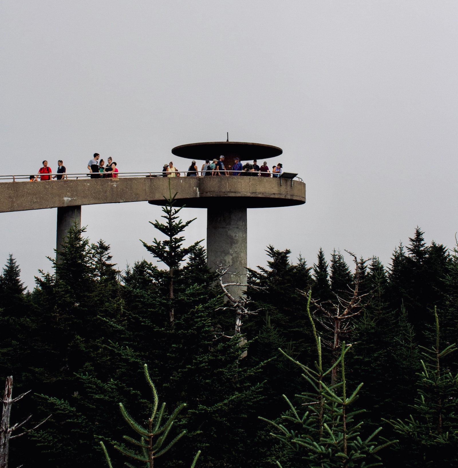 Clingmans Dome
