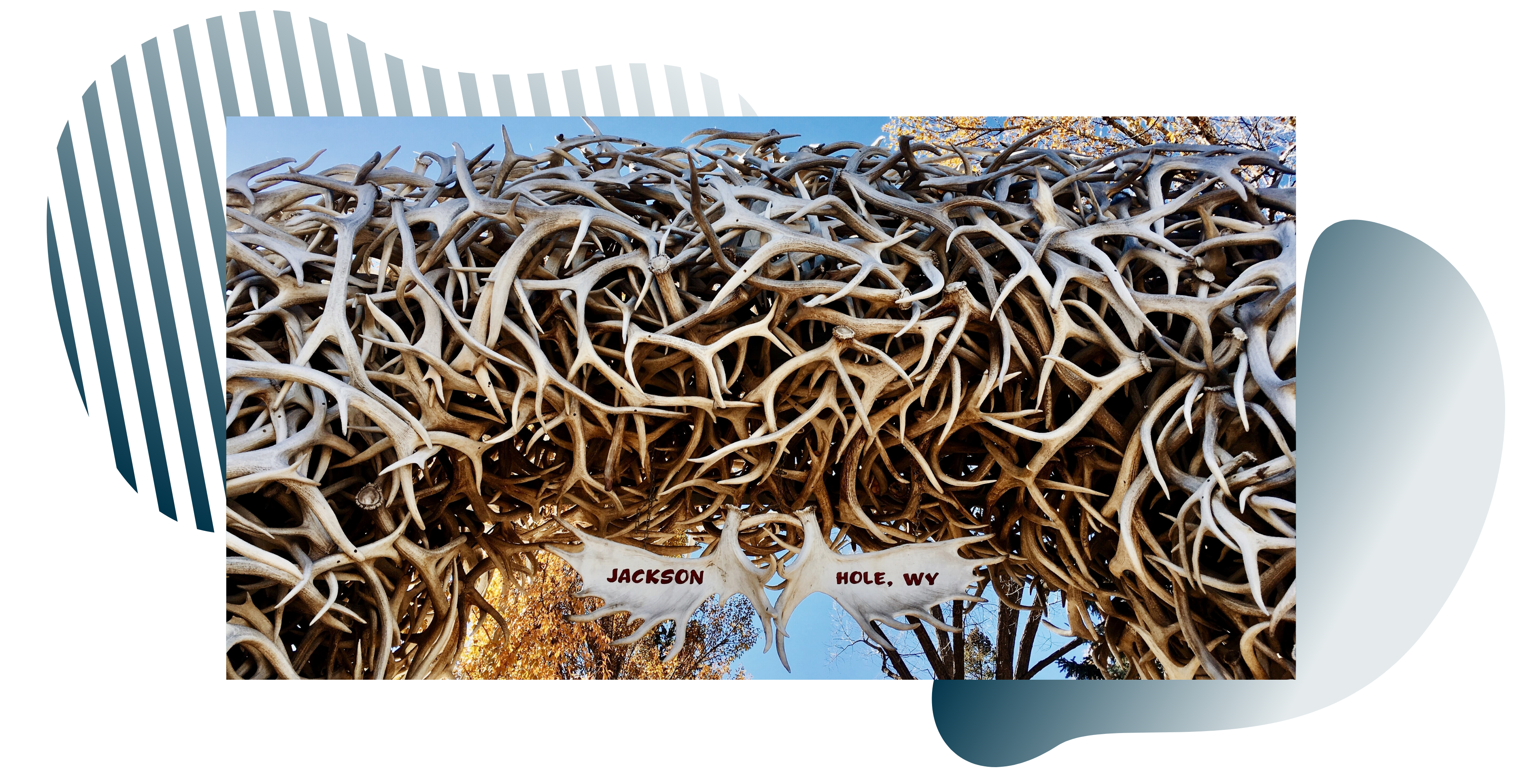 famous antler arch in jackson hole