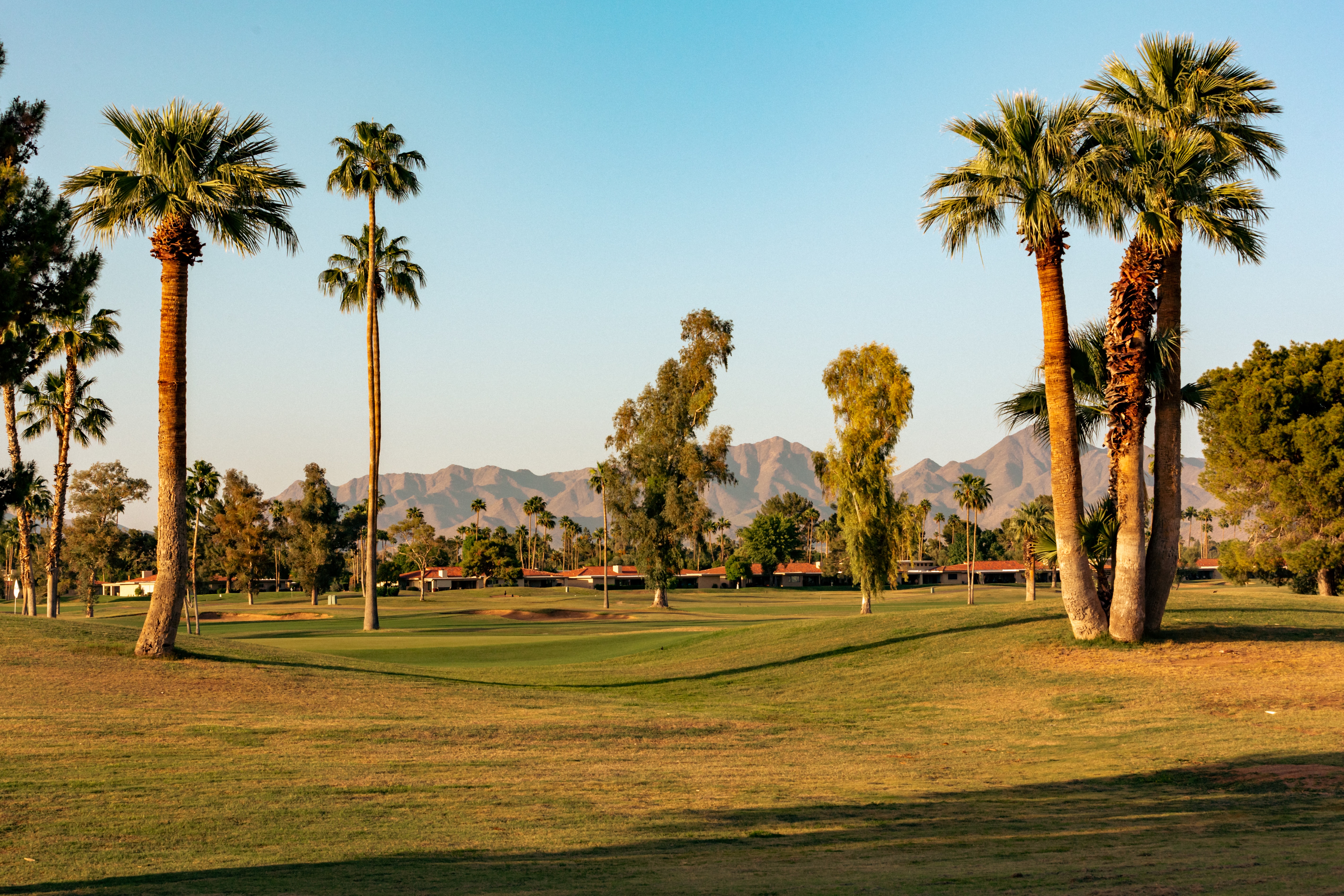 Scottsdale, AZ golf course at dusk.