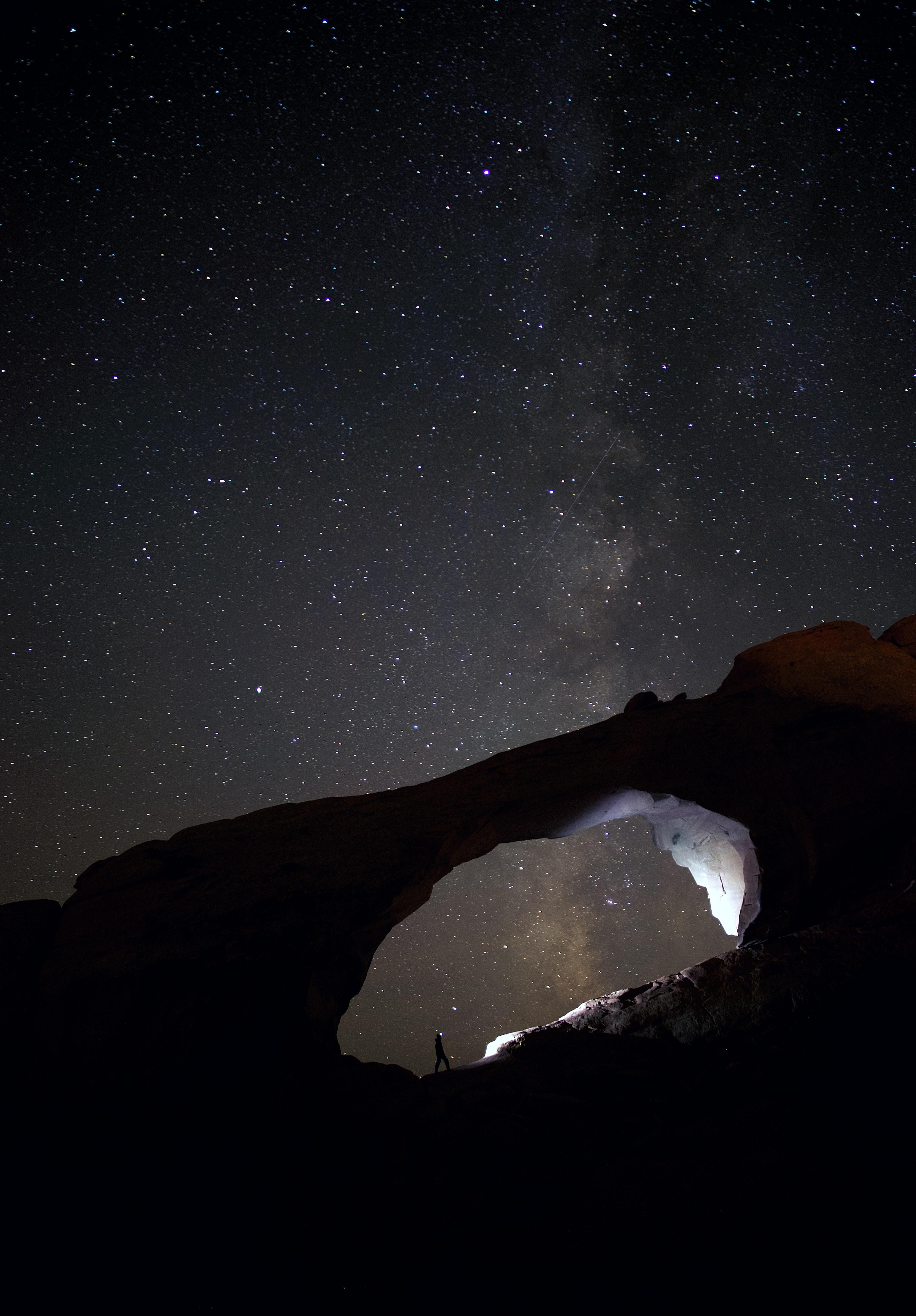 Silhouette photo of a person star gazing in a park.