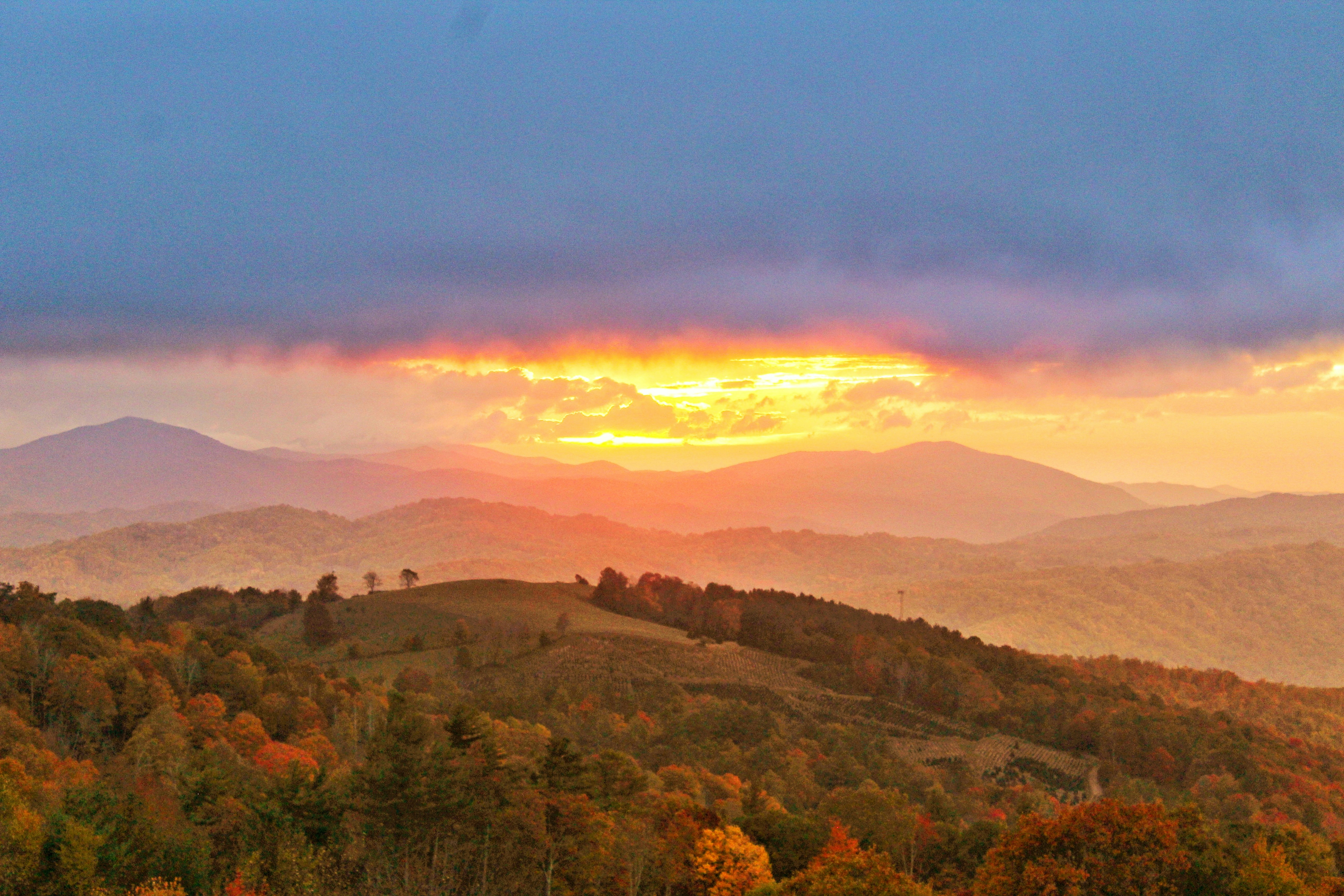 A landscape with trees and hills