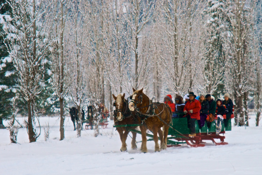 Winter sleigh rides in Leavenworth, wa