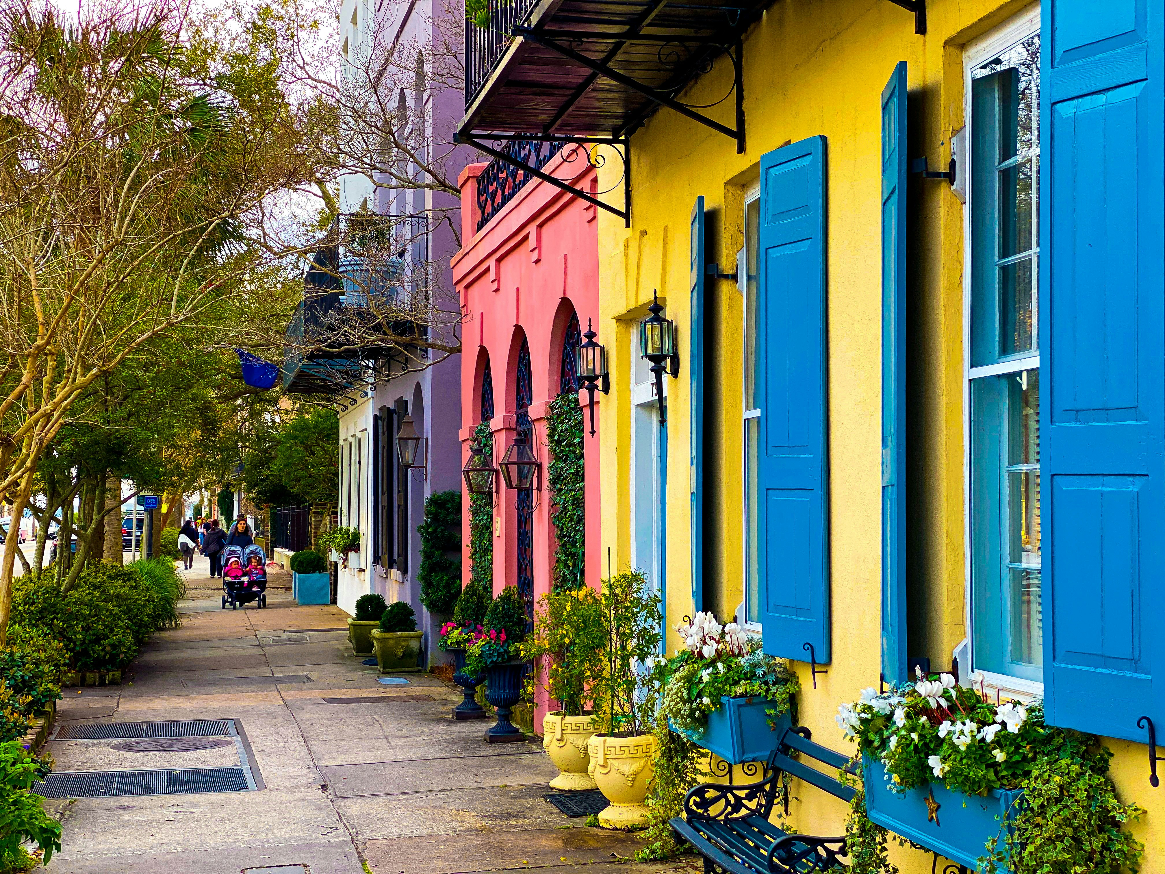 a row of colorful charleston homes with plants at their stoops