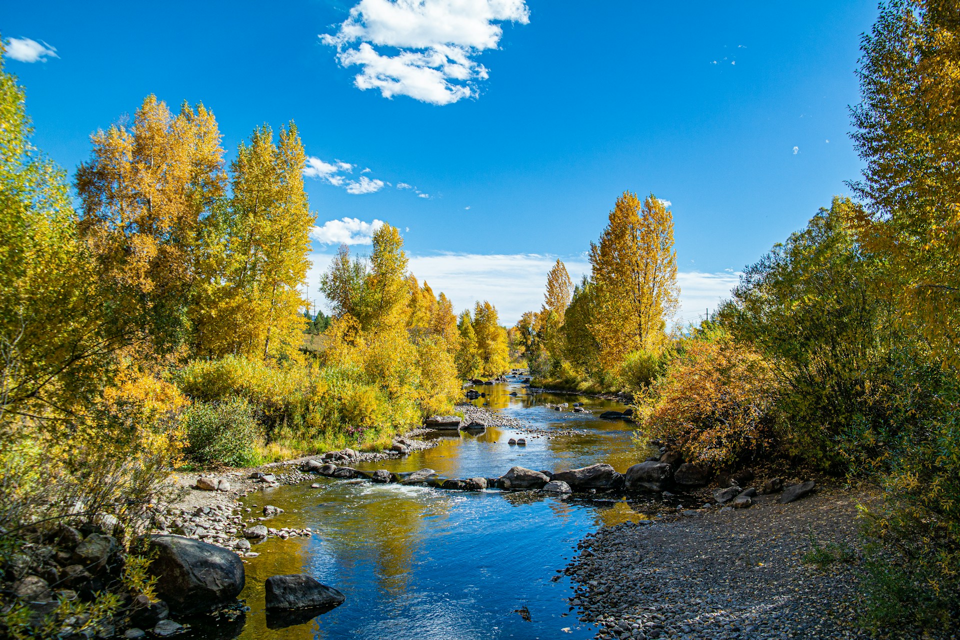 a gentle river in steamboat springs surrounded by fall colors