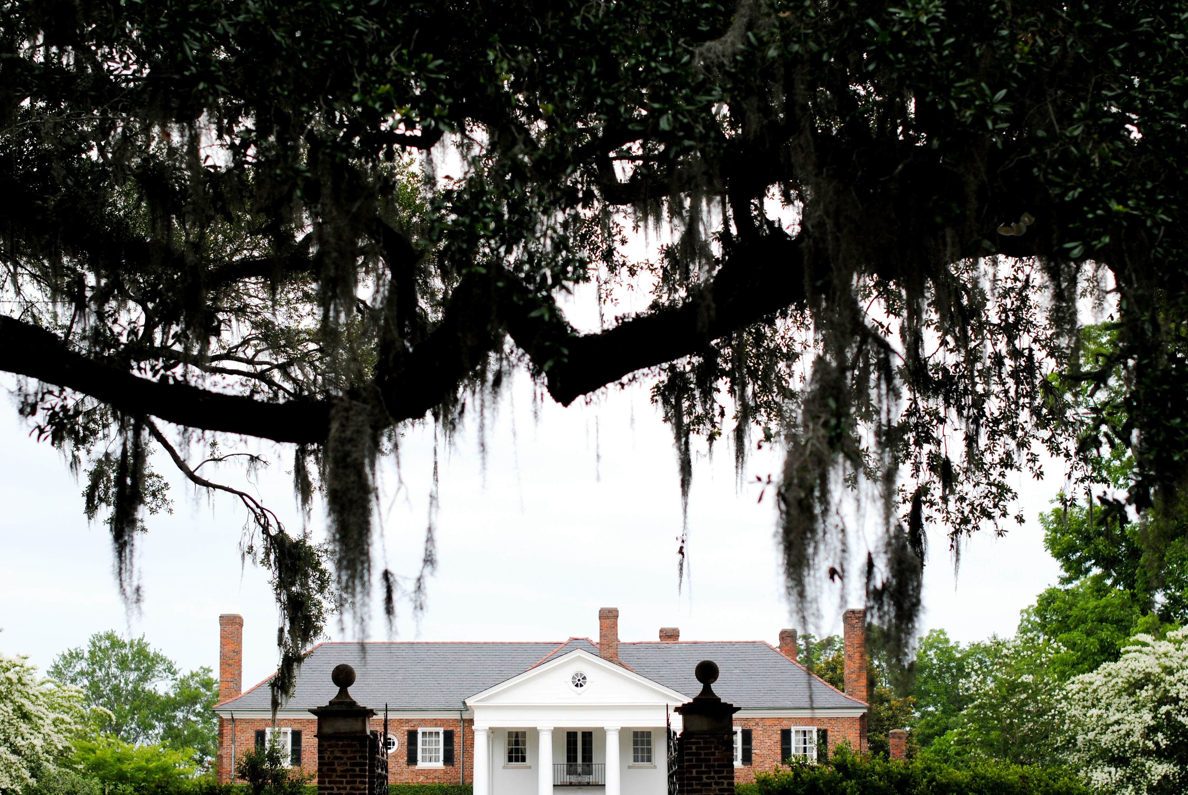 Boone Hall Plantation & Gardens