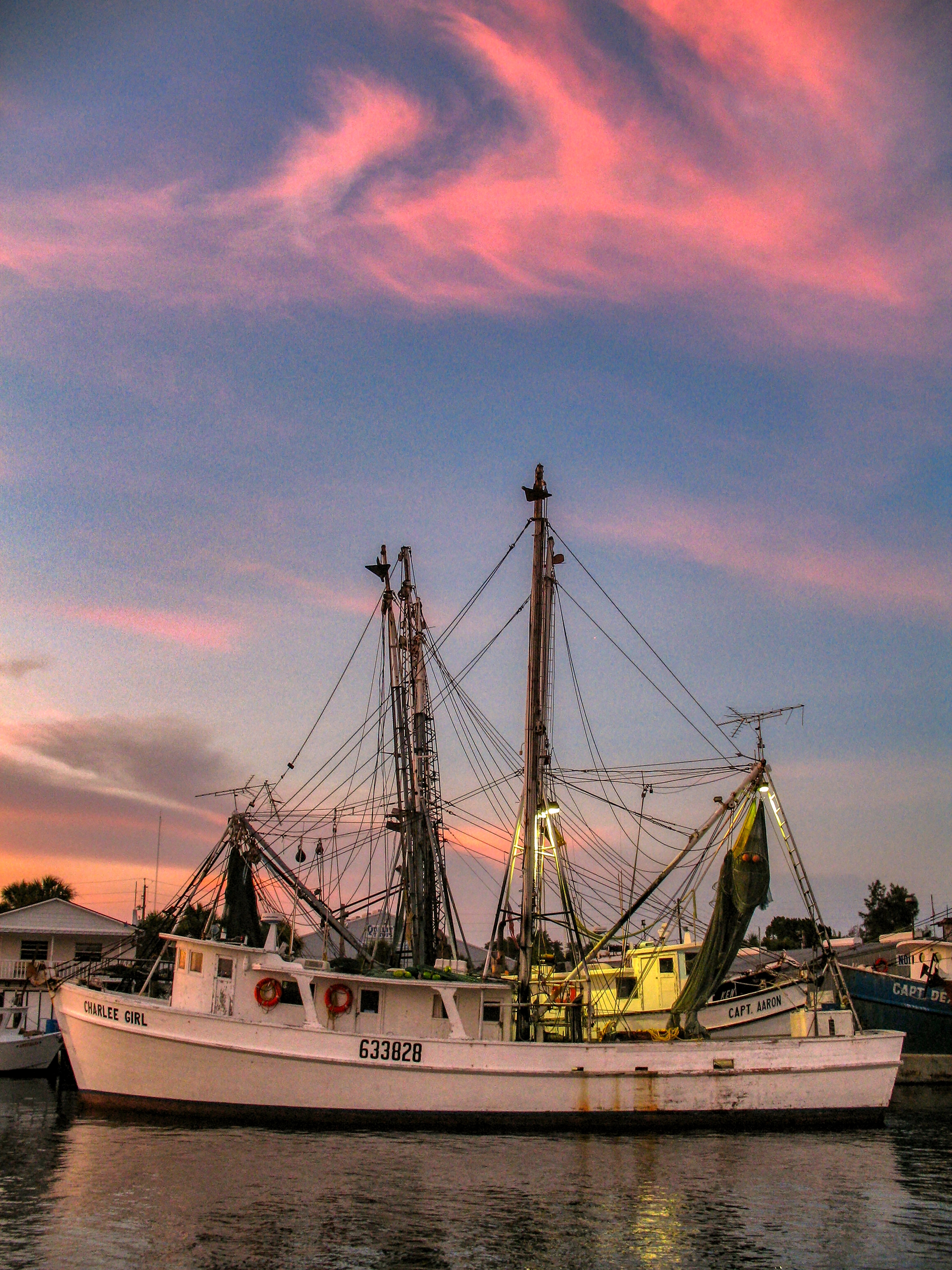 A little fishing and sponging town in western Florida, Tarpon Springs has a lot of visually interesting things.