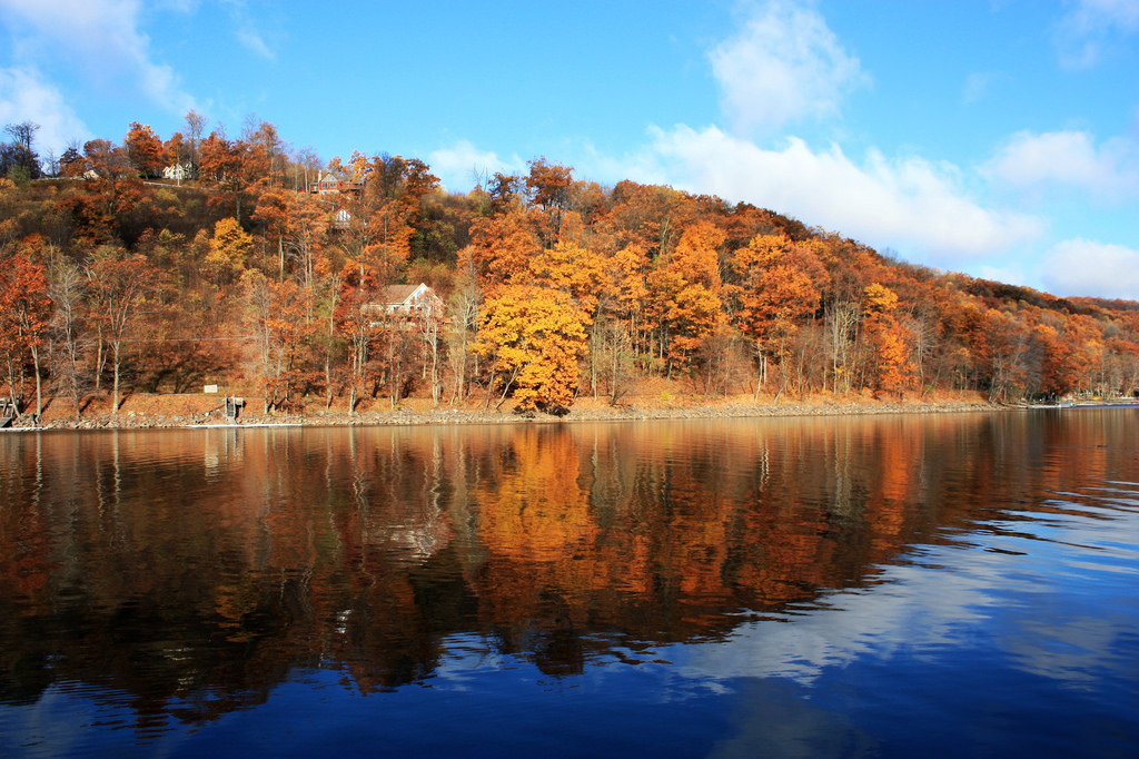 Orange trees in the background of Deep Creek Lake, MD on a fall day