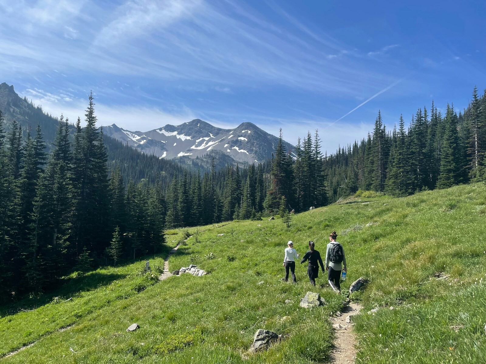 three friends hiking on a grassy trail in Olympic National Park