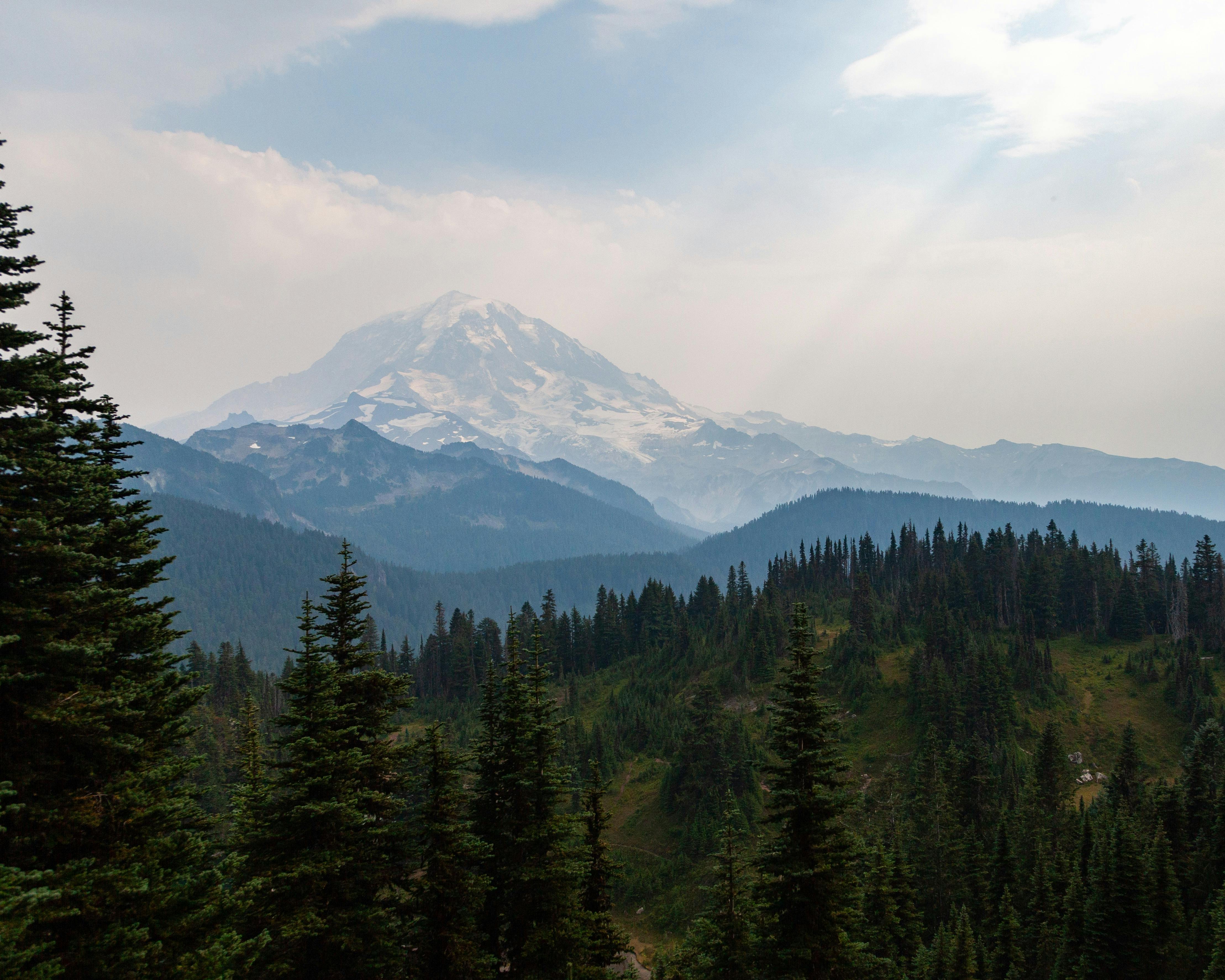 Mt. Rainier