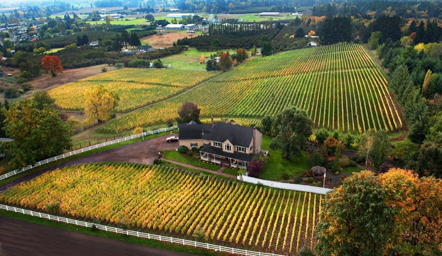 Plan your Oregon Wine Country Vacation Vacasa