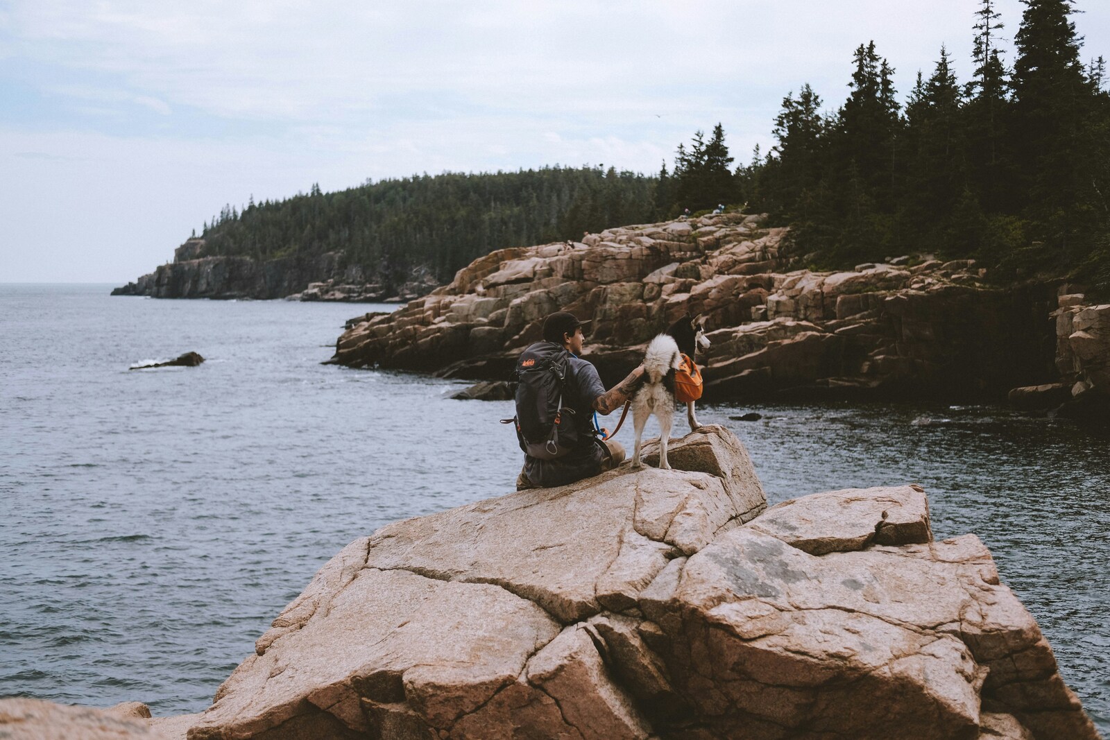 man and dog sitting on a rock looking into the harbor