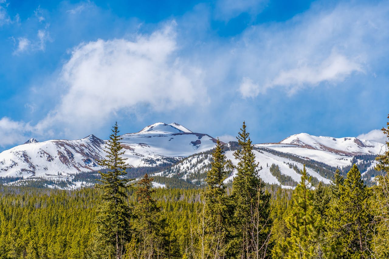 A sunny winter day with green trees and the mountains in the background near Breckenridge, CO