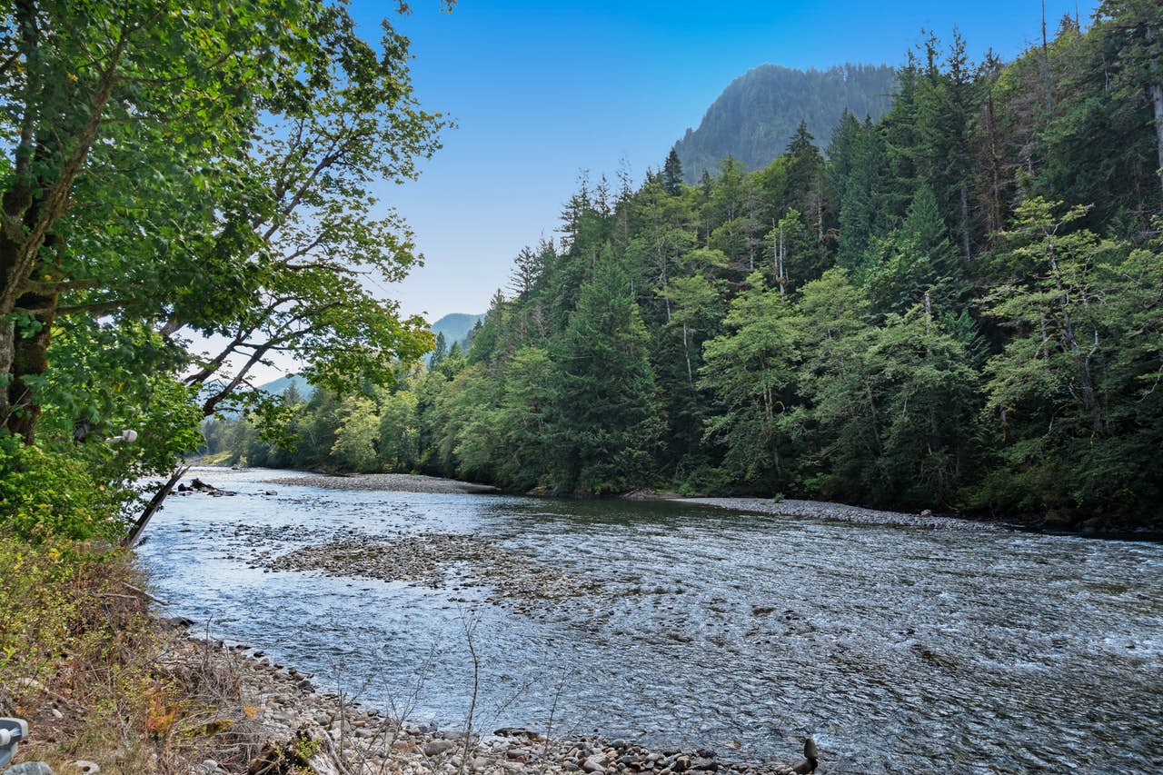 A river in a mountain range forest with a current on a sunny day