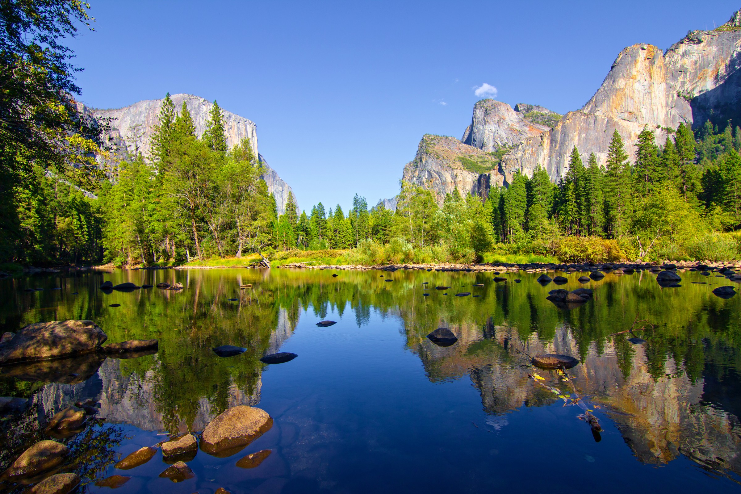View of Yosemite waters and rock formations surrounded by woods